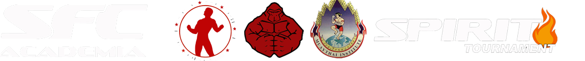 Academia SFC Chile - Spirit Fight Club / MMA - Muay Thai - kakuto - K1 - Submission - Cambo